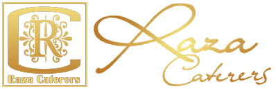 Patel Air Courier logo